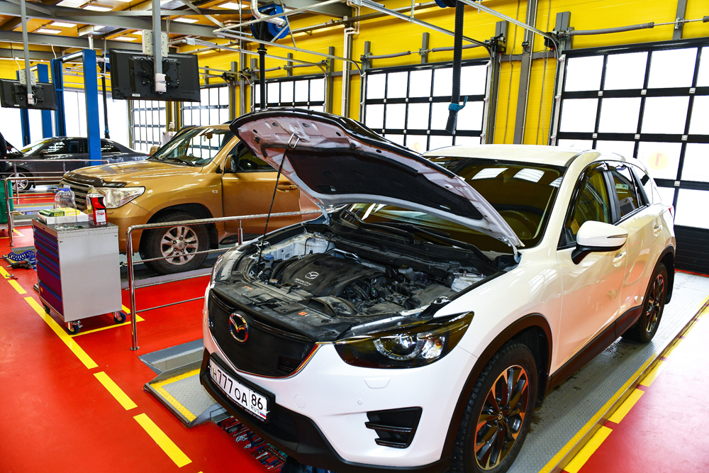 Открылся новый Масломart!